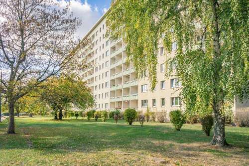 Foto - Wohnung zum Mieten in Chemnitz 274,00 € 45.62 m²