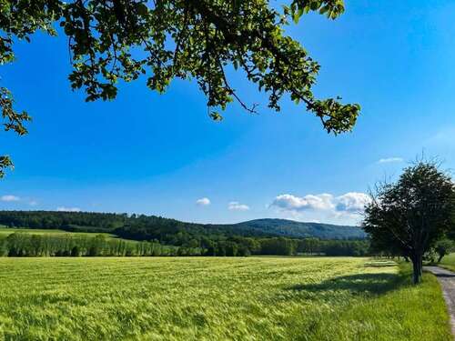 Foto - Haus zum Kaufen in Neustadt 485.000,00 € 150 m²