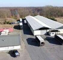 Halle in Löwenberger Land 970.000,00 € 2365 m²