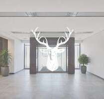 Halle in Villingen-Schwenningen 5.500,00 € 710 m²