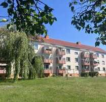 Wohnung zum Mieten in Lutherstadt Wittenberg 315,00 € 61 m²