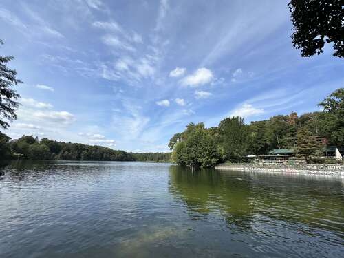 Foto - Haus zum Kaufen in Berlin 2.500.000,00 € 366 m²