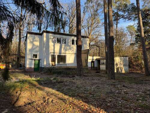 Foto - Wohnung zum Mieten in Berlin-Konradshöhe 2.200,00 € 100 m²