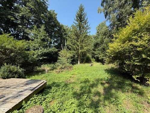 Foto - Grundstück zu verkaufen in Wehrheim - Friedrichsthal 68.000,00 € 2042 m²