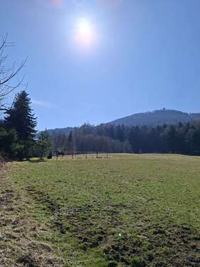 Foto - Haus zum Kaufen in Waltersdorf 169.000,00 € 100 m²