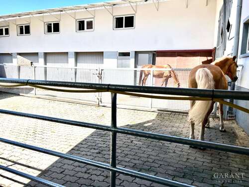 Foto - Haus zum Kaufen in Adelmannsfelden 1.399.000,00 € 375 m²