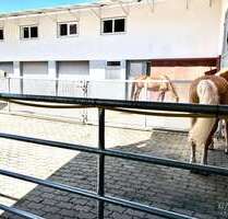 Haus zum Kaufen in Adelmannsfelden 1.399.000,00 € 375 m²