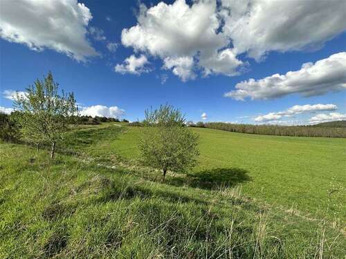 Foto - Grundstück in Nohfelden 38.040,00 € 951 m²