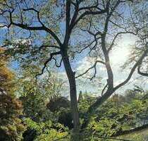 Büro in Köln 1.290,00 € 75 m² - 1.290,00 EUR Kaltmiete, ca.  75,00 m² in Köln (PLZ: 50968)