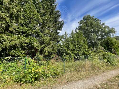 Foto - Grundstück zu verkaufen in Eutin 250.000,00 € 781 m²