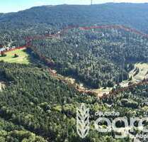 Grundstück in Sasbachwalden 799.000,00 € 415639 m²