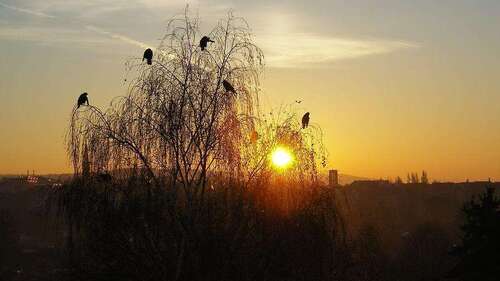 Foto - Spezialgewerbe in Riesa 630,00 € 125.5 m²