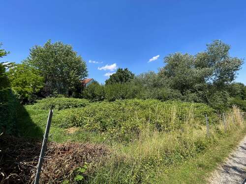 Foto - Grundstück zum Mieten in Oberursel 900,00 € 1765 m²