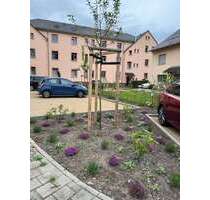 Wohnung zum Kaufen in Radebeul 250.000,00 € 82 m²
