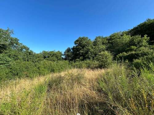 Foto - Grundstück zu verkaufen in Hahnenbach 30.000,00 € 907 m²