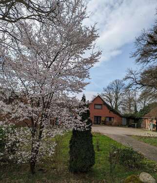 Foto - Haus zum Kaufen in Hude 380.000,00 € 230 m²
