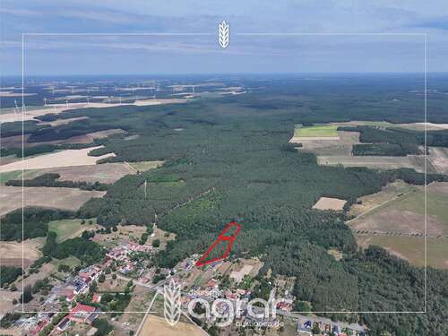 Foto - Grundstück zu verkaufen in Niemegk Hohenwerbig 9.000,00 € 11441 m²