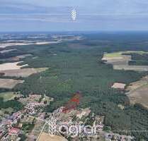 Grundstück zu verkaufen in Niemegk Hohenwerbig 9.000,00 € 11441 m² - Niemegk / Hohenwerbig