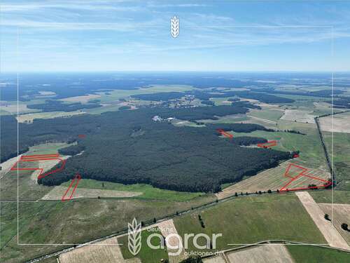 Foto - Grundstück zu verkaufen in Beelitz Elsholz 113.900,00 € 112150 m²