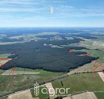 Grundstück zu verkaufen in Beelitz Elsholz 113.900,00 € 112150 m² - Beelitz / Elsholz
