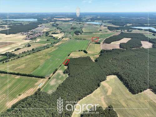 Foto - Grundstück zu verkaufen in Beelitz Rieben 11.900,00 € 11952 m²