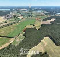 Grundstück zu verkaufen in Beelitz Rieben 11.900,00 € 11952 m² - Beelitz / Rieben