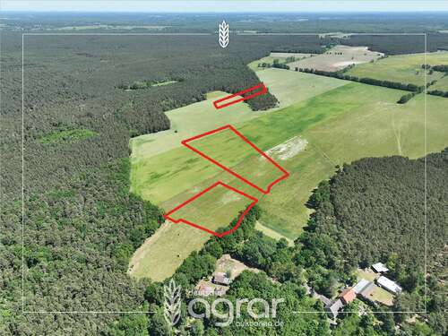 Foto - Grundstück zu verkaufen in Schönwald 49.900,00 € 48589 m²