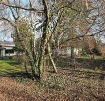 Grundstück zu verkaufen in Schwetzingen 319.000,00 € 333 m²