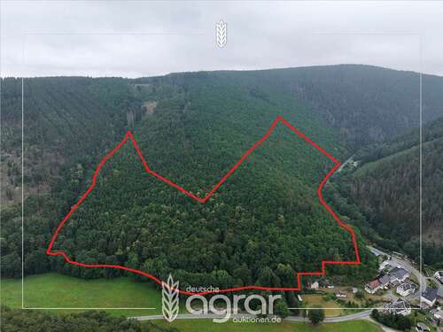 Foto - Grundstück zu verkaufen in Döschnitz Bockschmiede 149.900,00 € 147637 m²