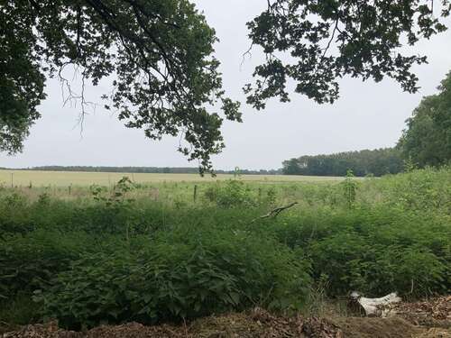 Foto - Grundstück in Schulzendorf 99.000,00 € 19700 m²