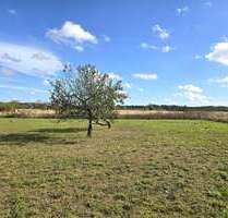 Grundstück zu verkaufen in Ahrensfelde 265.000,00 € 8076 m²