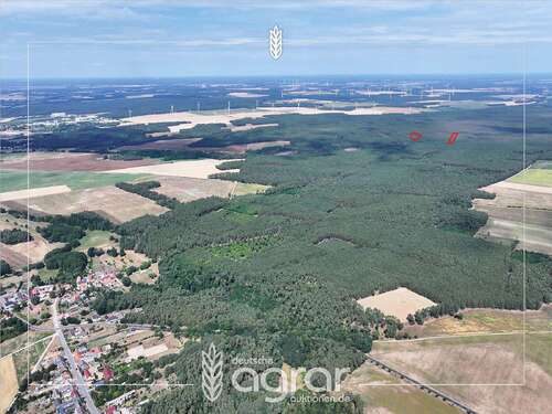 Foto - Grundstück zu verkaufen in Niemegk Hohenwerbig 12.500,00 € 15733 m²