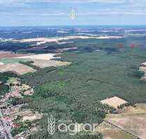 Grundstück zu verkaufen in Niemegk Hohenwerbig 12.500,00 € 15733 m² - Niemegk / Hohenwerbig