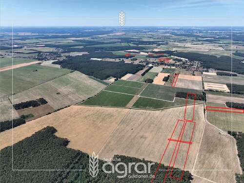 Foto - Grundstück zu verkaufen in Beelitz Elsholz 162.900,00 € 159908 m²