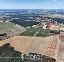 Grundstück zu verkaufen in Beelitz Elsholz 162.900,00 € 159908 m² - Beelitz / Elsholz