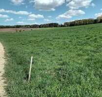 Grundstück in Treuchtlingen 165.000,00 € 40444 m²