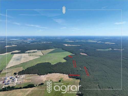 Foto - Grundstück zu verkaufen in Beelitz Wittbritzen 9.900,00 € 15600 m²