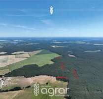 Grundstück zu verkaufen in Beelitz Wittbritzen 9.900,00 € 15600 m² - Beelitz / Wittbritzen