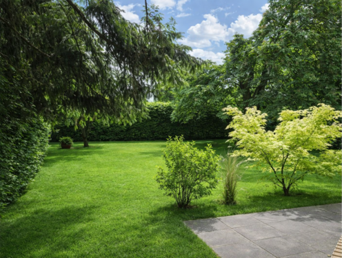 Foto - Wohnung zum Kaufen in Hamburg 561.000,00 € 97 m²