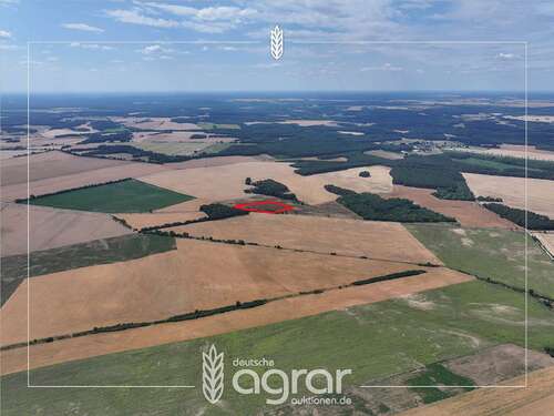 Foto - Grundstück zu verkaufen in Niemegk Hohenwerbig 19.900,00 € 19156 m²