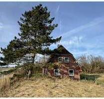 Haus zum Kaufen in Osterhever Mühlendeich 278.000,00 € 99 m² - Osterhever / Mühlendeich