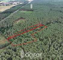 Grundstück zu verkaufen in Gardelegen Jävenitz 10.900,00 € 17979 m² - Gardelegen / Jävenitz