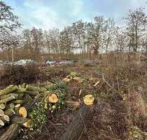 Wohnung zum Kaufen in Eberswalde 156.870,00 € 24.9 m²