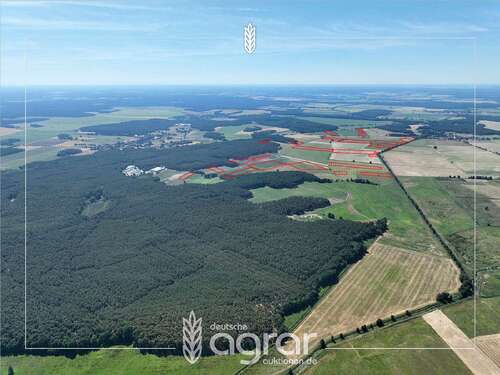 Foto - Grundstück zu verkaufen in Beelitz Elsholz 212.900,00 € 268749 m²