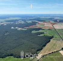 Grundstück zu verkaufen in Beelitz Elsholz 212.900,00 € 268749 m² - Beelitz / Elsholz