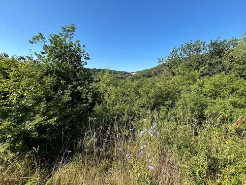 Foto - Grundstück zu verkaufen in Hahnenbach 30.000,00 € 582 m²