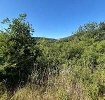 Grundstück zu verkaufen in Hahnenbach 30.000,00 € 582 m²