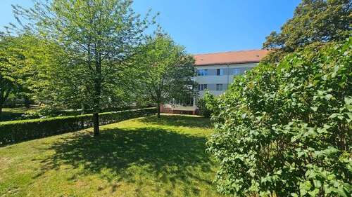 Foto - Wohnung zum Mieten in Dresden 684,00 € 57 m²