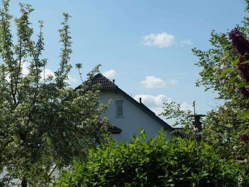 Foto - Haus zum Kaufen in Torgau 380.000,00 € 250 m²