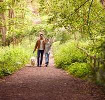 Wohnung zum Kaufen in Nordrhein-Westfalen - Löhne 483.000,00 € 138 m²